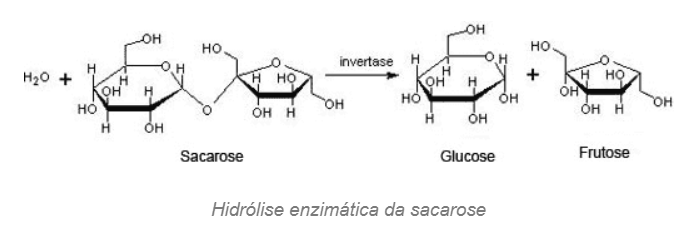 reação sintese açucar invertido