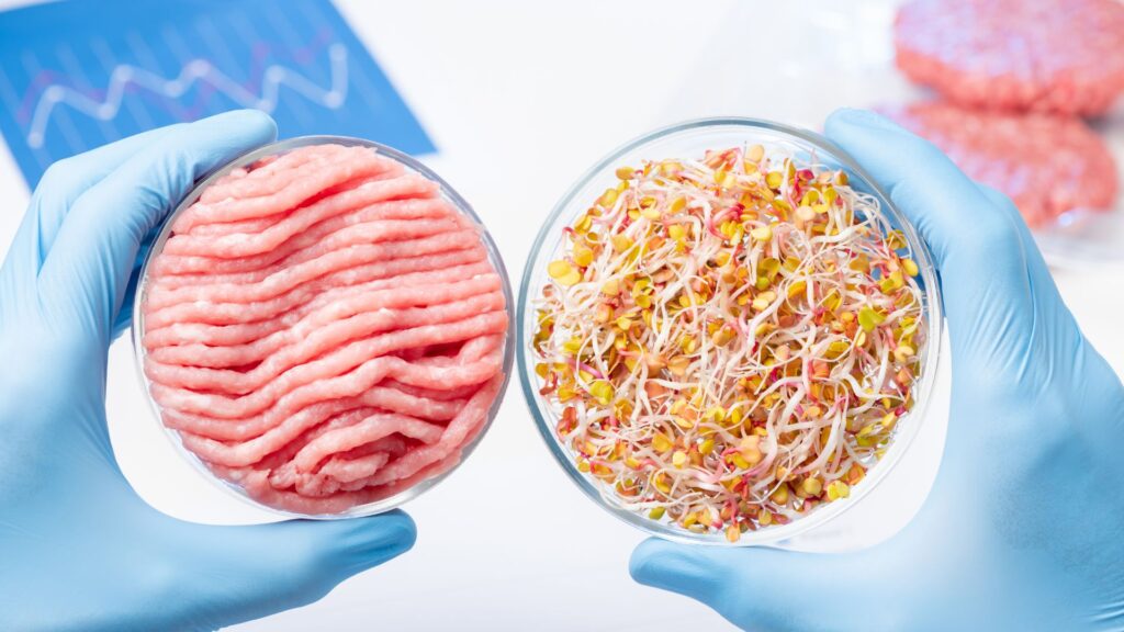 carne animal e carne vegetal