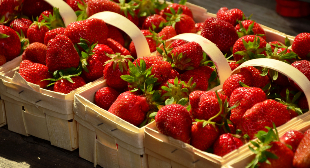 Como fazer seu morango durar mais: a fruta do momento