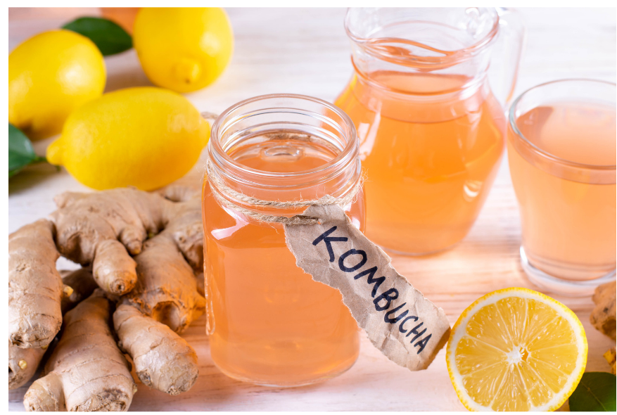 COMO DESENVOLVER UMA KOMBUCHA?